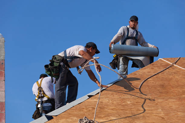Best Roof Waterproofing Services  in Nanawale Estates, HI