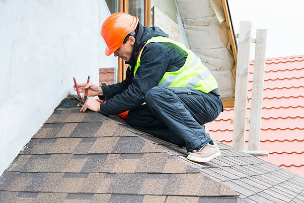 Best Roof Gutter Cleaning  in Nanawale Estates, HI