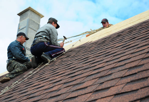 Best Residential Roofing Contractor  in Nanawale Estates, HI