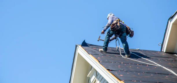 Best Roof Restoration Services  in Nanawale Estates, HI